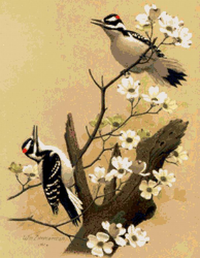 пано птицы - пано, птицы, картина, цветы, природа - предпросмотр