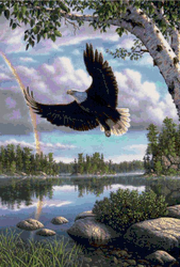 полет орла - птица, пейзаж, природа, орел, озеро - предпросмотр