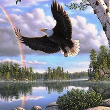 Схема вышивки «полет орла»