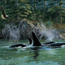 Схема вышивки «№640723»