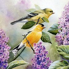 Схема вышивки «№640729»