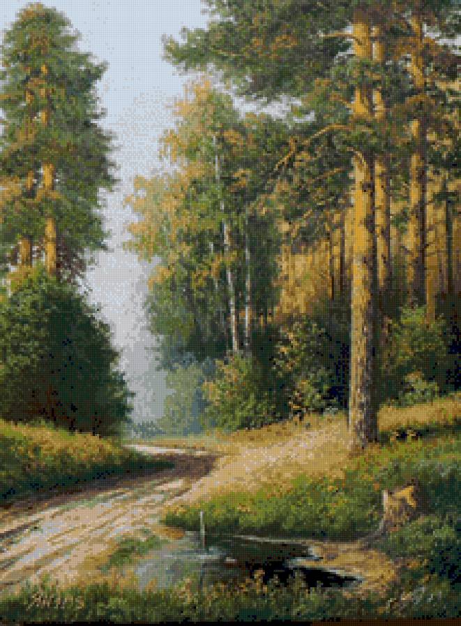 Лесная дорога - лето, дорога, лес, пейзаж, сосны - предпросмотр