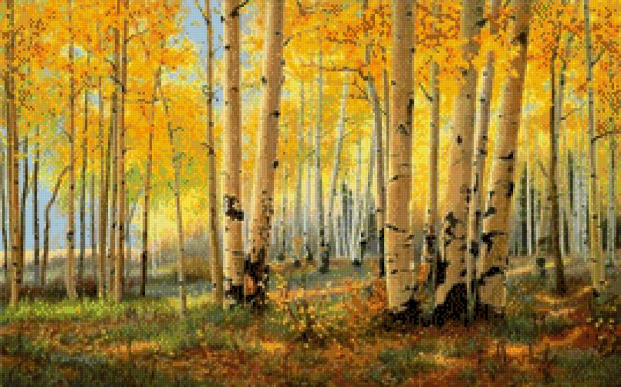 Las brzozowy - pejzaz, las, jesien, brzozy - предпросмотр