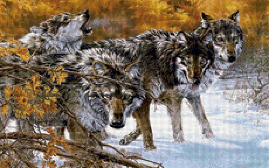 Стая - предпросмотр