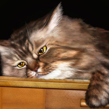 Схема вышивки «Ленивец»