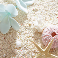 Схема вышивки «Пляж»