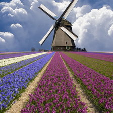 Схема вышивки «Мельница»