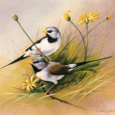 Схема вышивки «Птицы»