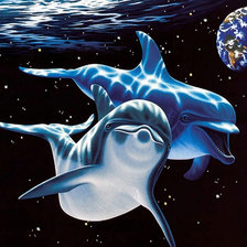 Схема вышивки «Дельфины»