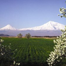 Схема вышивки «арарат»