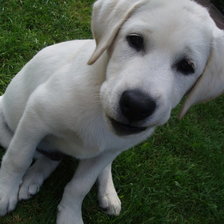 Схема вышивки «№641110»