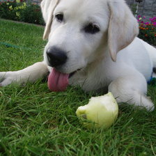 Схема вышивки «№641111»