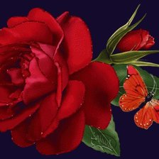 Схема вышивки «Бабочка и роза»