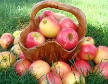 Схема вышивки «натюрморт»