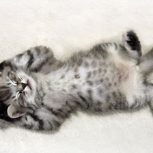 Схема вышивки «Соня»