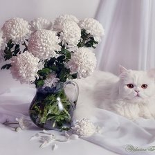 Схема вышивки «живой натюрморт»