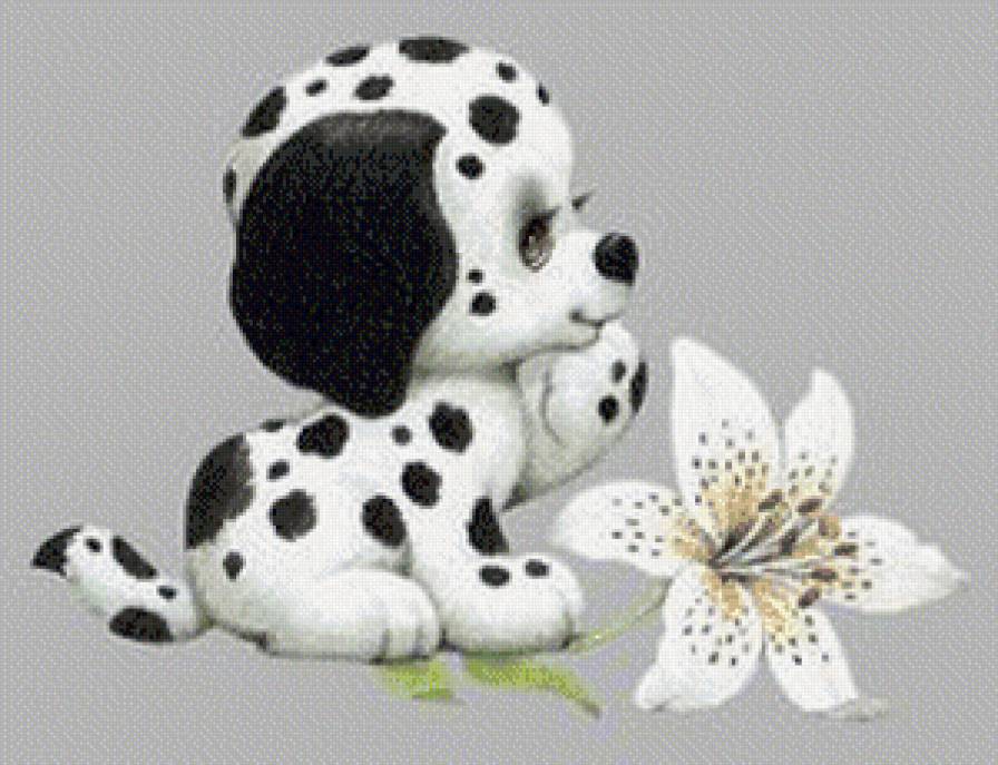 долматинчик - щенки, долматины - предпросмотр