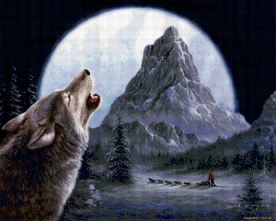 Полнолуние - животные, волки, природа - предпросмотр