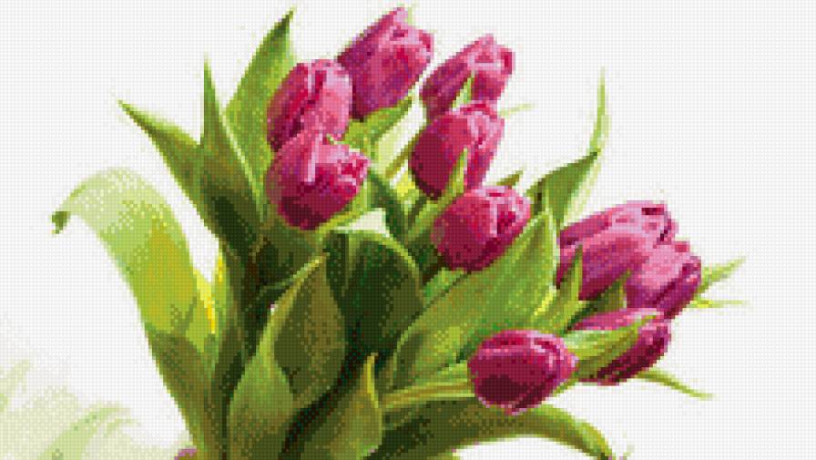 букет тюльпанов - предпросмотр