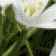 Предпросмотр схемы вышивки «подснежники» (№641273)