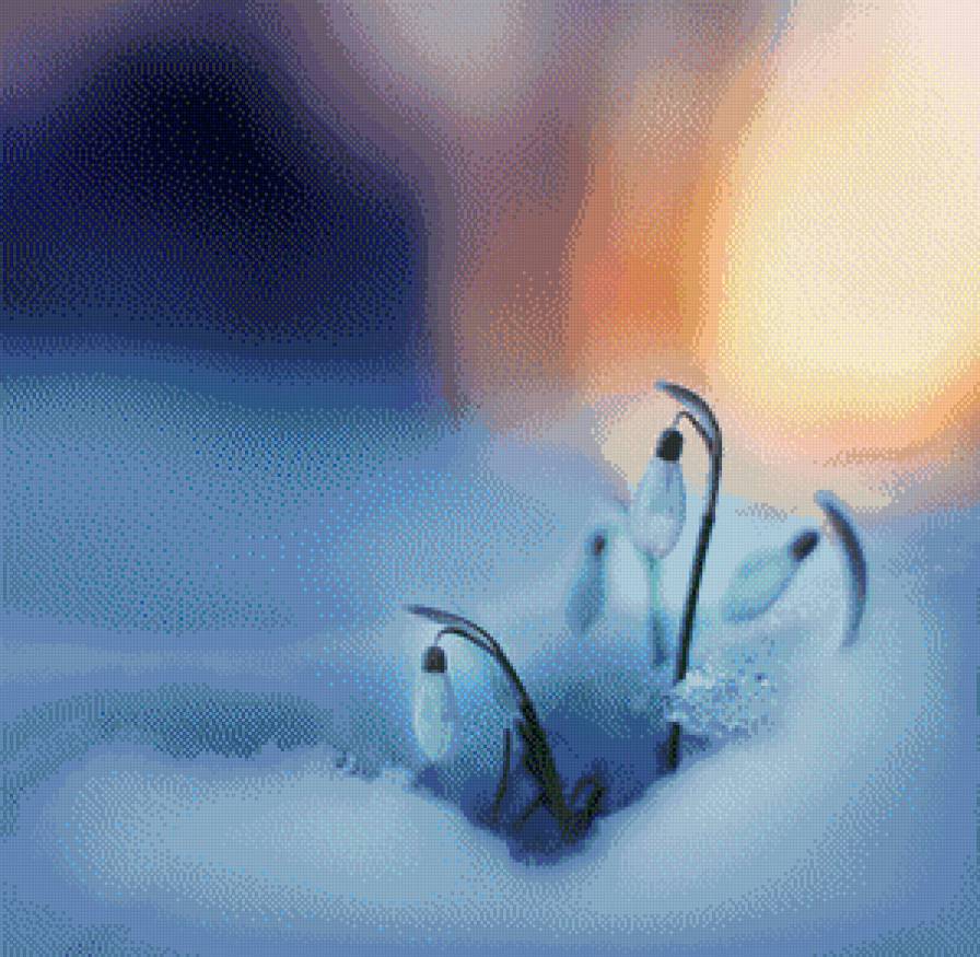 подснежники - снег, подснежники, цветы - предпросмотр