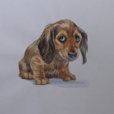 Схема вышивки «Грустный щенок»