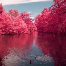 Схема вышивки «озеро»