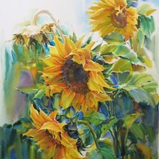 Схема вышивки «подсолнухи»