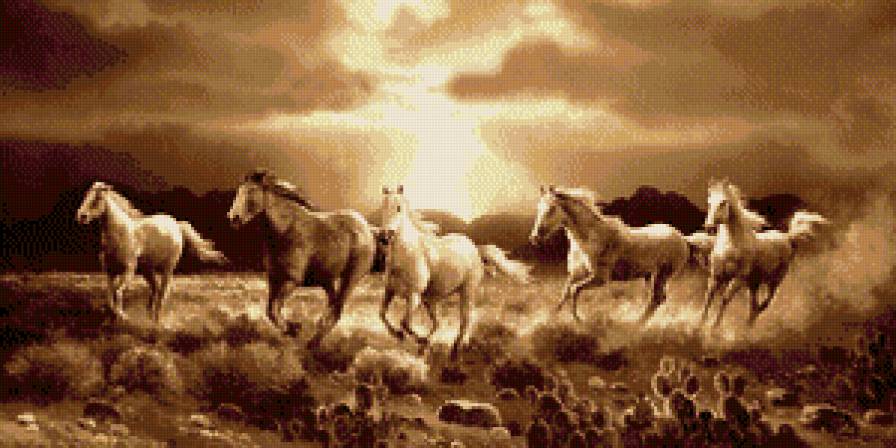 табун - табун, лошадь, кони, монохром - предпросмотр