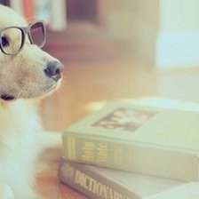 Схема вышивки «Пес»