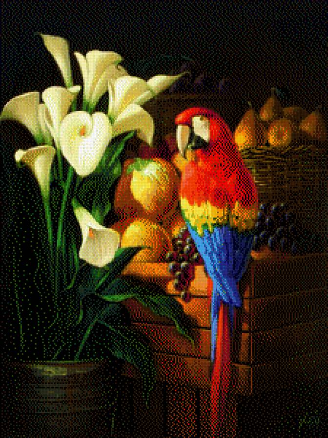 ара и бакланы - искусство, картина - предпросмотр