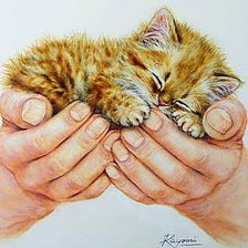 Схема вышивки «Котенок»