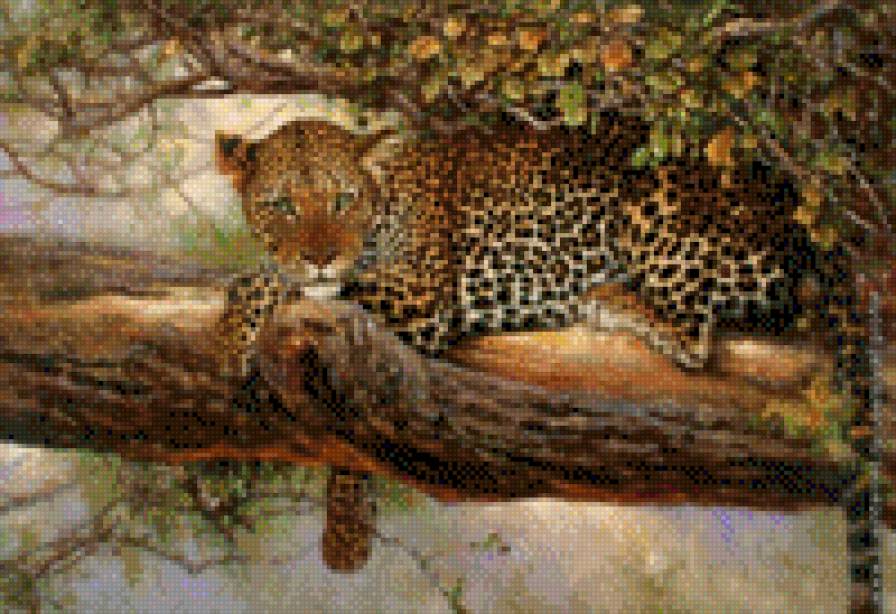 №641660 - предпросмотр