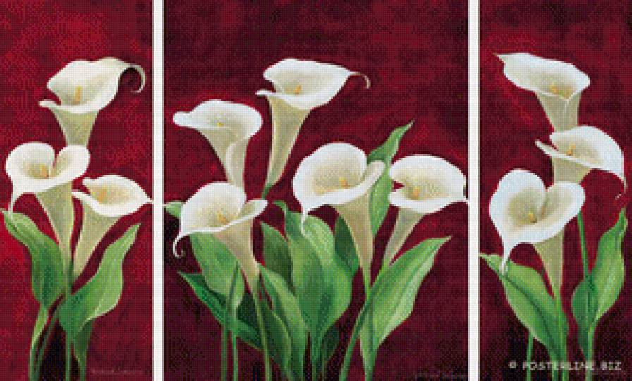 каллы - триптих, цветы, каллы - предпросмотр