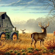 Схема вышивки «№641817»