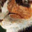 Предпросмотр схемы вышивки «Котик» (№642015)