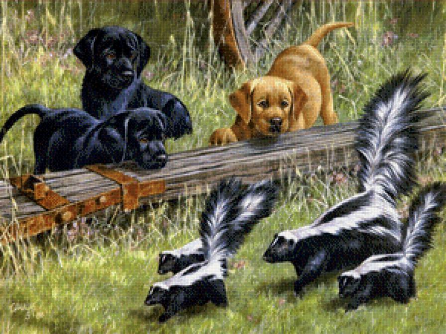 №642089 - животные, собака, лес, щенки, природа, игра - предпросмотр