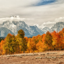 Схема вышивки «№642096»