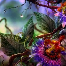 сказочные цветы