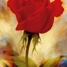 Схема вышивки «роза»