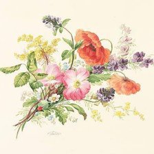 Схема вышивки «florı»