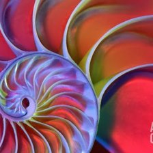 Схема вышивки «Бесконечность.»