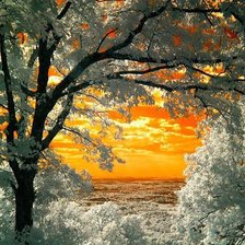 Схема вышивки «№642823»