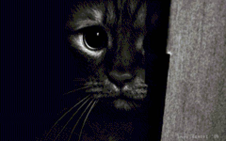 Кот - силуэт - предпросмотр