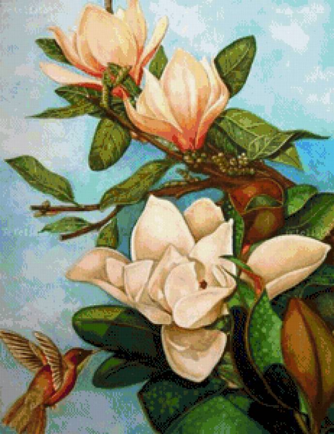 прекрасная магнолия - картина цветы - предпросмотр