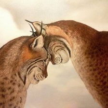 Схема вышивки «рыси»