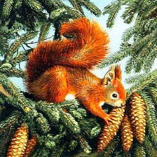 Схема вышивки «Белочка»