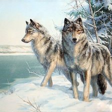 Схема вышивки «братья по крови»