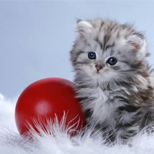 Схема вышивки «Пушистик»