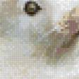 Предпросмотр схемы вышивки «Белая мышка» (№643172)